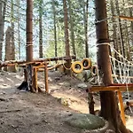 Zvezditsa *