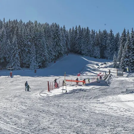 Bed and Breakfast Zvezditsa *