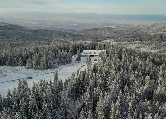 Zvezditsa * Vitosha