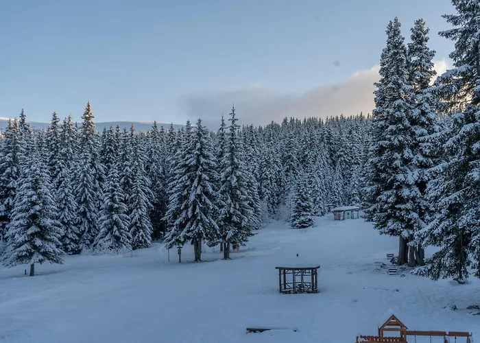 Zvezditsa Frühstückspension