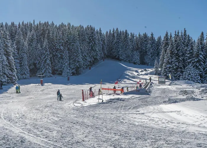 Frühstückspension Zvezditsa *