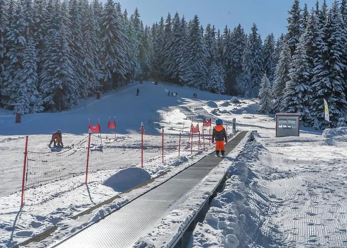 Frühstückspension Zvezditsa