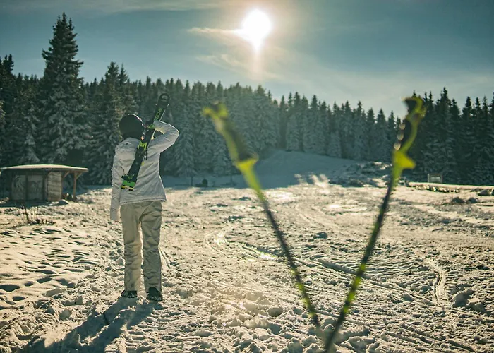 Frühstückspension Zvezditsa *